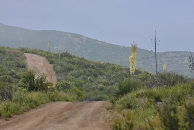 DSC_6889 (Large).JPG